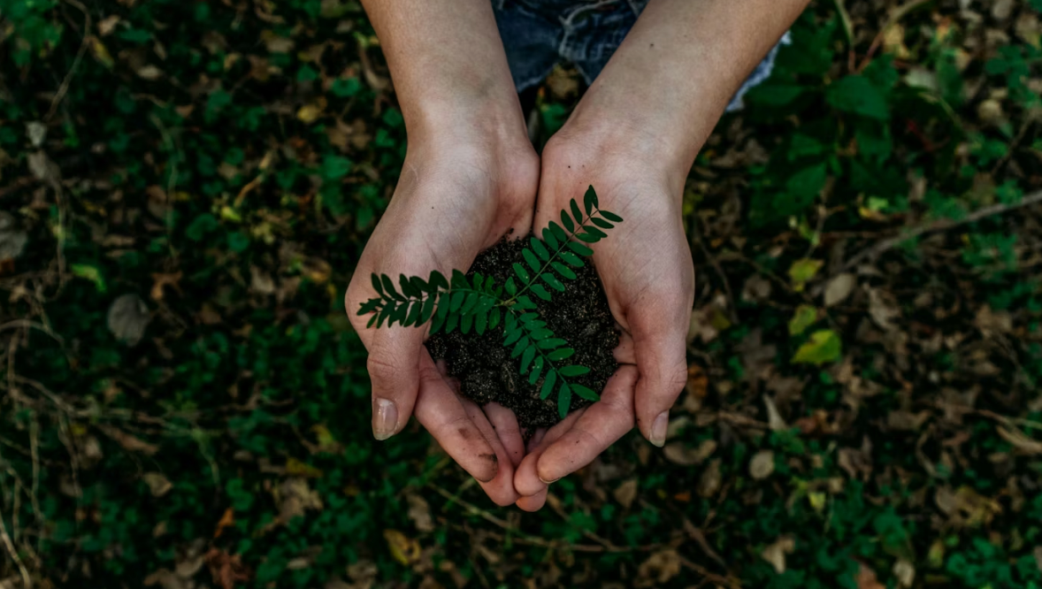 An Australian Guide to What Eco–Friendly Really Means